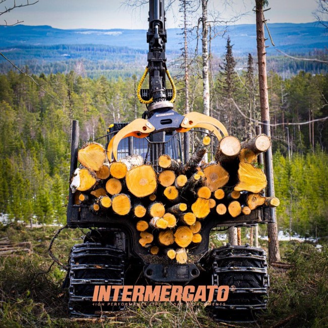 GRAPPIN A BOIS INTERMERCATO         