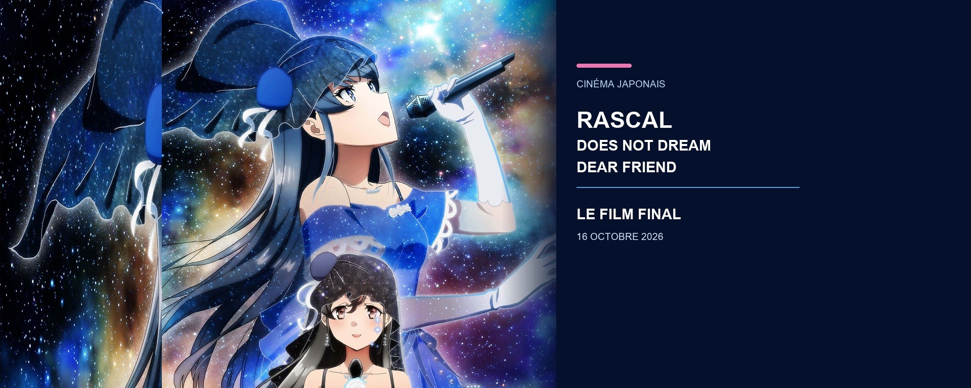 Affiche panoramique officielle de Rascal Does Not Dream of a Dear Friend, film final de la série.