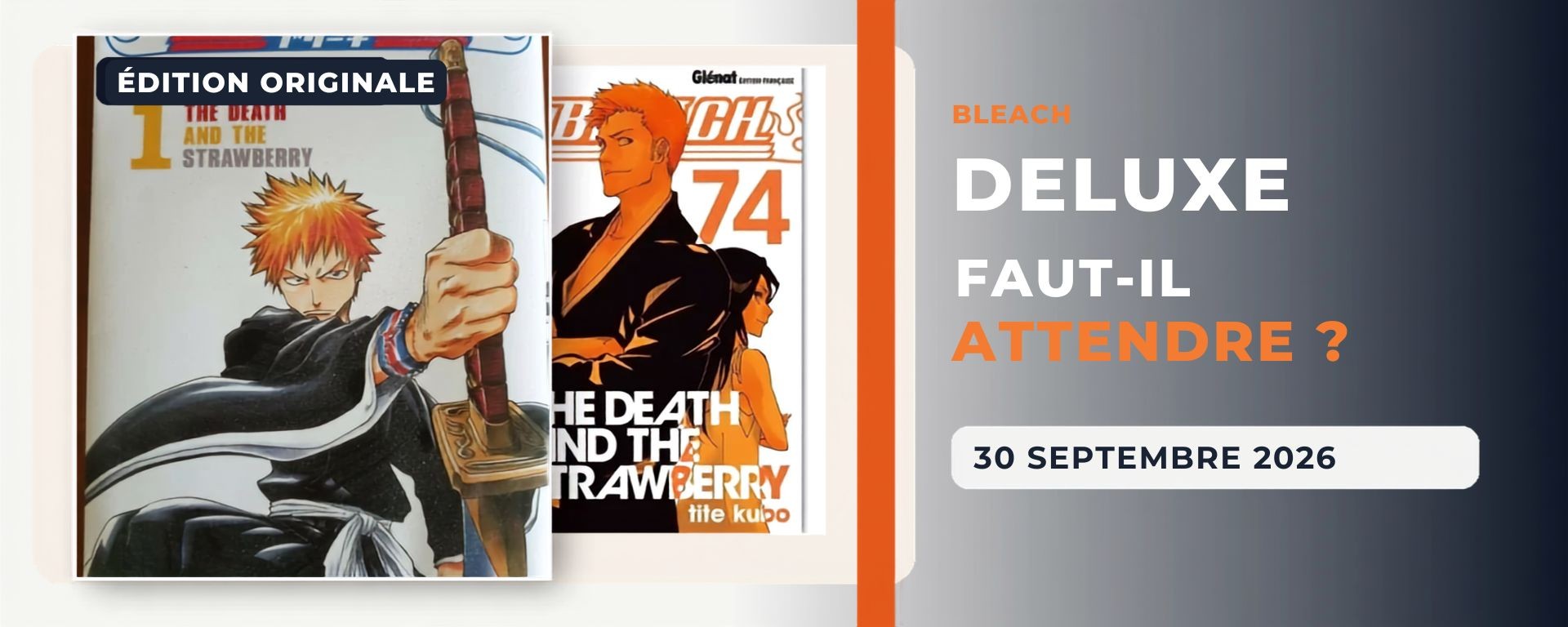Bleach Deluxe : faut-il attendre la nouvelle édition face à l’édition originale ?