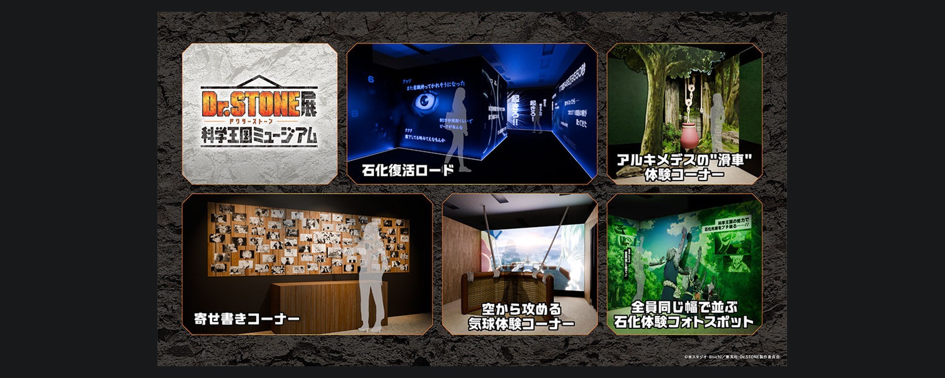 Visuel officiel de l’exposition Dr.STONE Science Kingdom Museum : concept de parcours et expériences