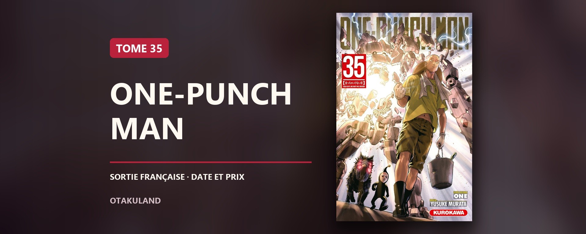 Couverture française de One-Punch Man tome 35, édition standard Kurokawa