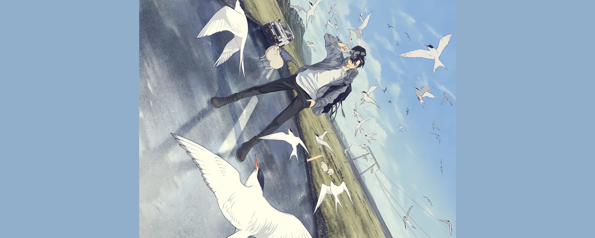 Visuel clé officiel de l’anime Dans le sens du vent : Kei Miyama au milieu des oiseaux et du paysage islandais.