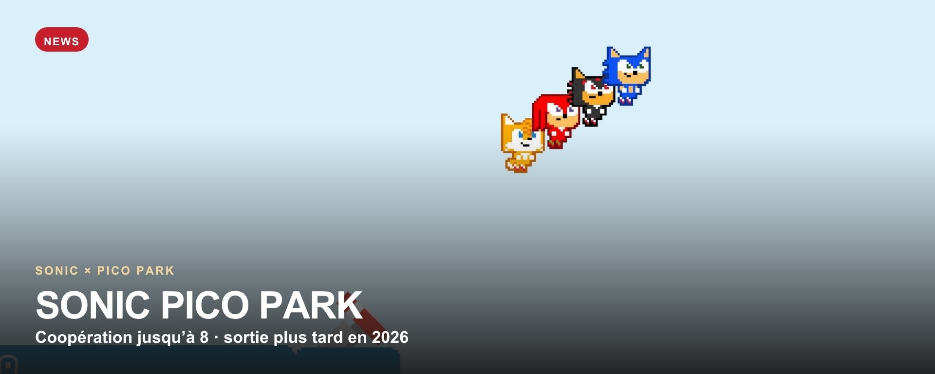 Sonic Pico Park — Sonic, Tails, Knuckles, Amy et Shadow, coopération jusqu’à 8 joueurs