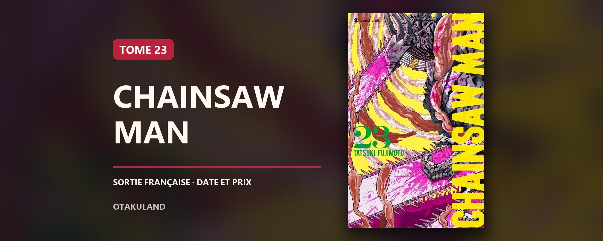 Couverture française de Chainsaw Man tome 23, série et numéro de tome lisibles