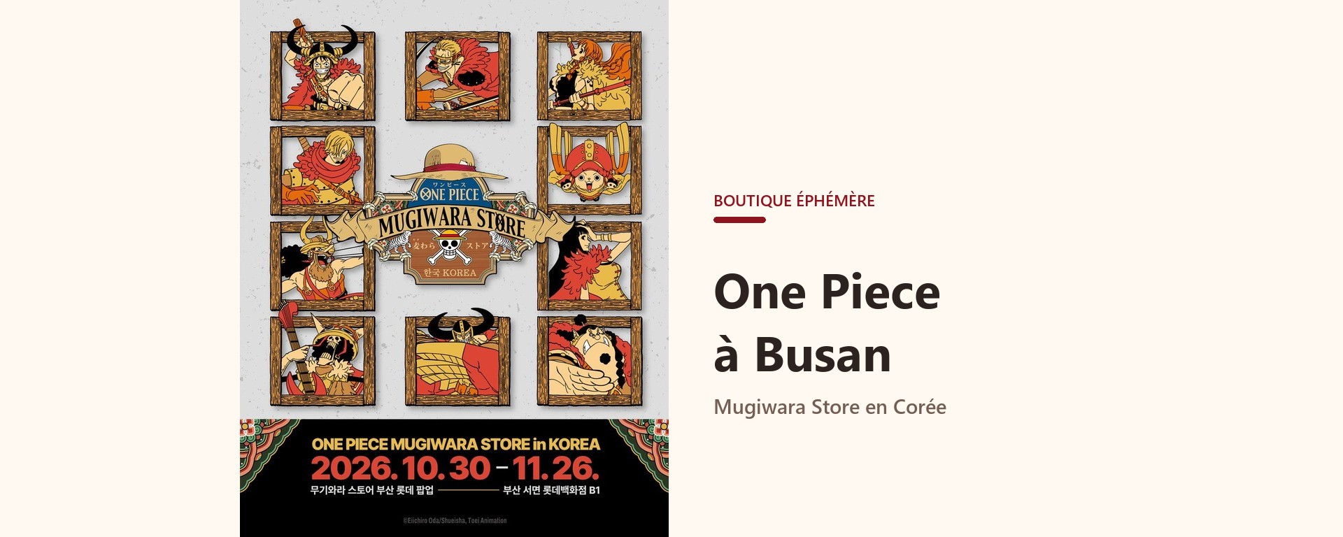 Affiche officielle du Mugiwara Store in Korea à Busan, avec dates du 30 octobre au 26 novembre 2026