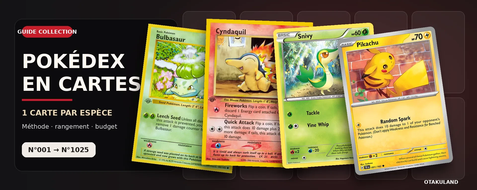 Pokédex national en cartes Pokémon organisé dans un classeur par générations