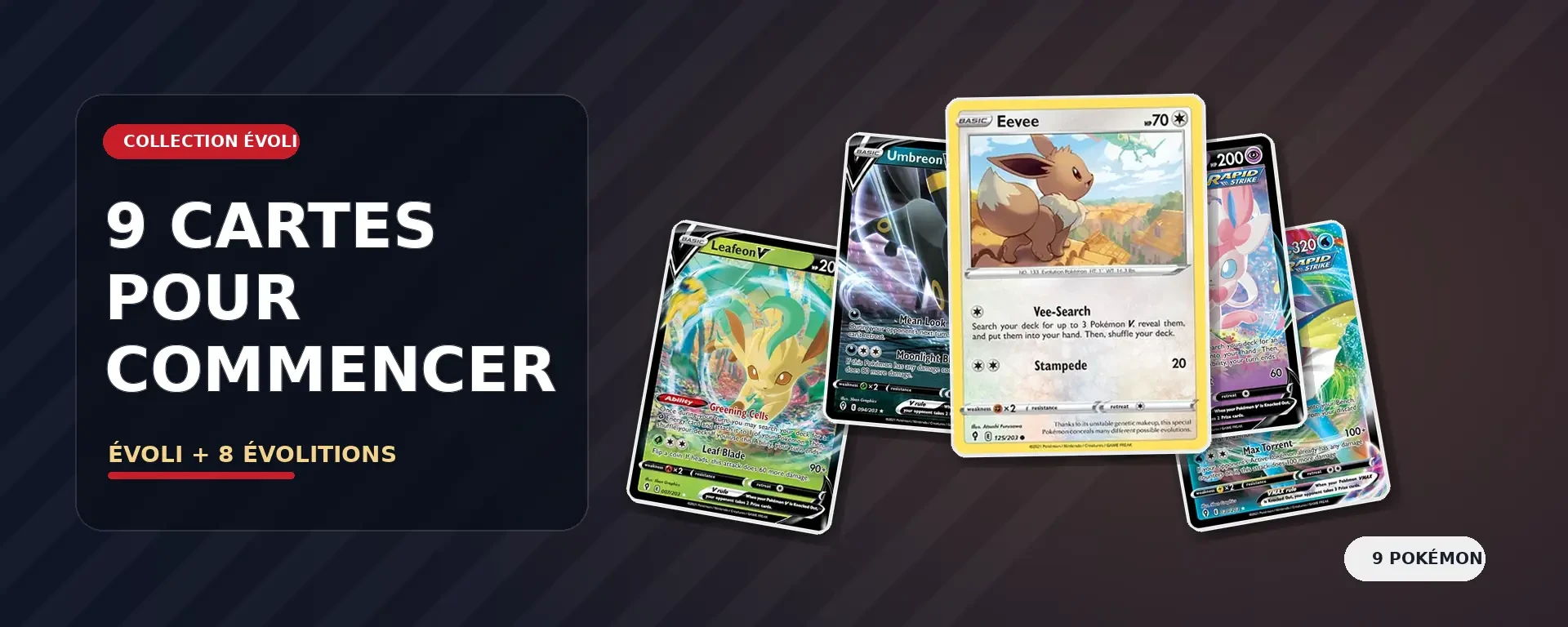 Collection de cartes Évoli et Évolitions avec plusieurs cartes du JCC Pokémon