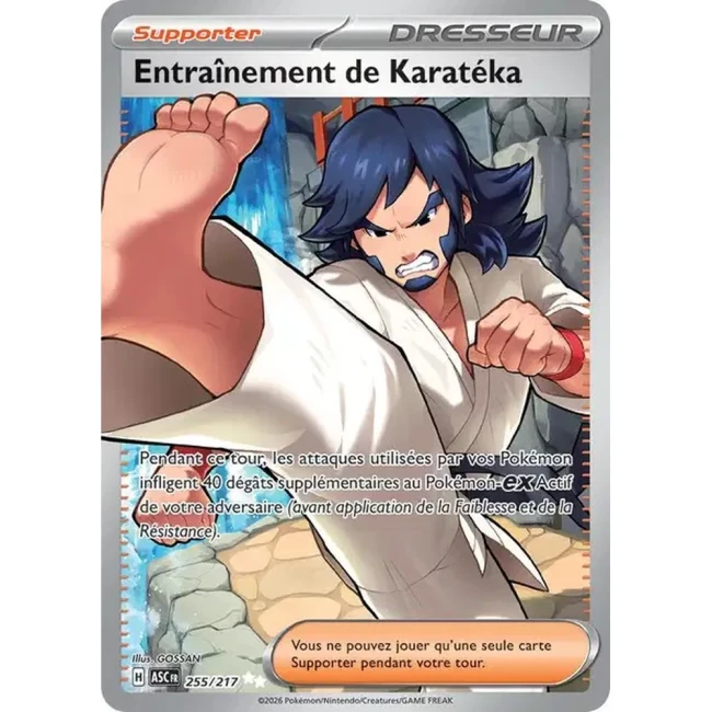 Carte Pokémon Entraînement de Karatéka 255/217 - ME02.5  Héros Transcendants