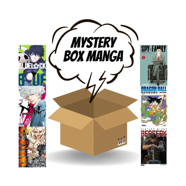 Box Mystère Manga Personnalisée XXL