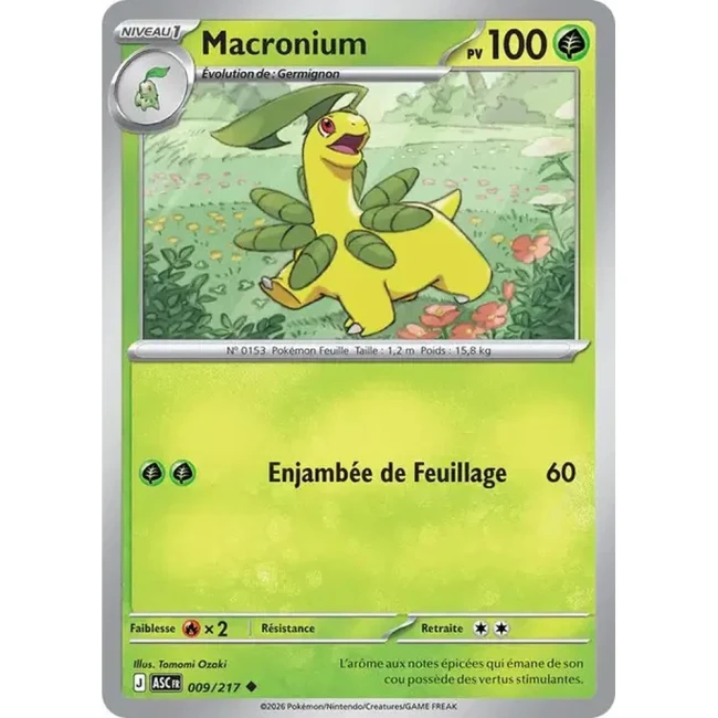 Carte Pokémon Macronium 9/217 - ME02.5 Héros Transcendants