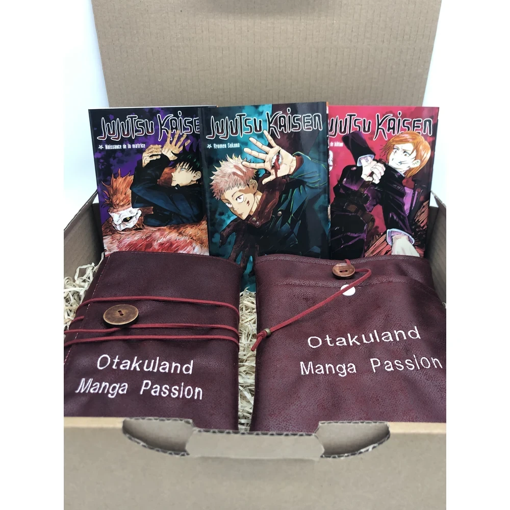Box découverte Jujutsu Kaisen Otakuland avec trois tomes et protections au choix