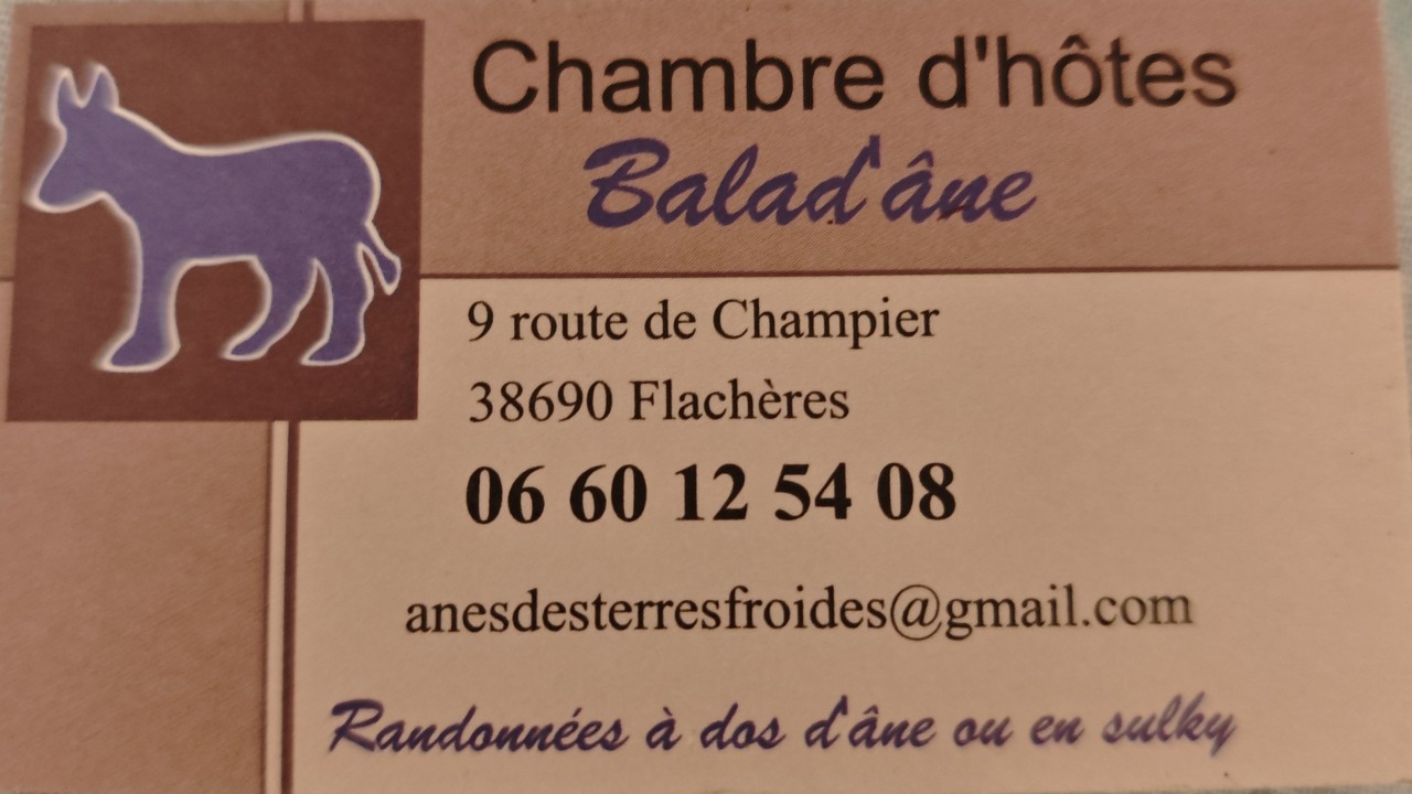 Carte de visite Balad'Âne chambres d'hôtes, nuit en roulotte et randonnées avec des ânes à Flachères