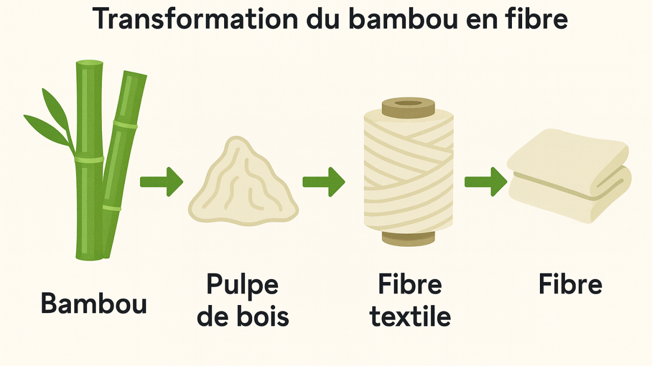 Illustration pédagogique montrant les étapes de transformation du bambou en fibre textile : bambou, pulpe de bois, fibre textile, tissu final