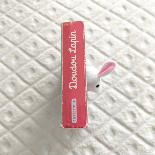 Tranche du livre Doudou Lapin - Tranche du livre Doudou Lapin avec titre et logo Casterman, tête de peluche visible sur le côté.