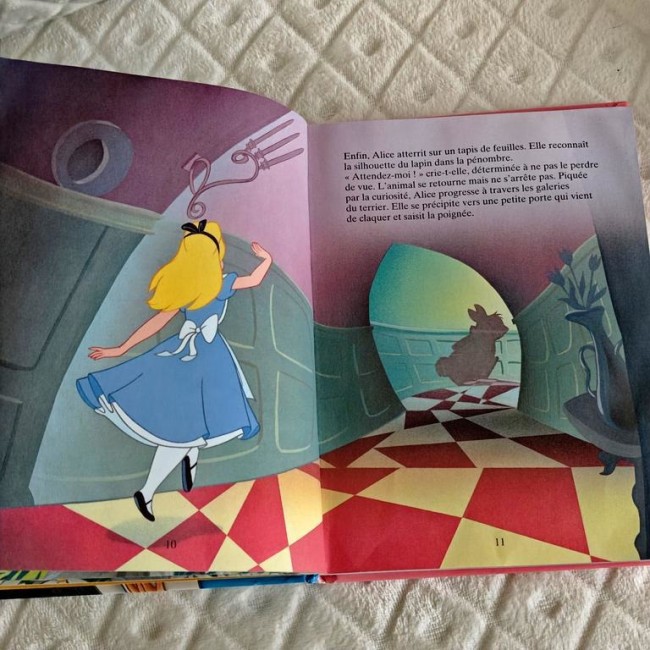 Illustration intérieure du livre 