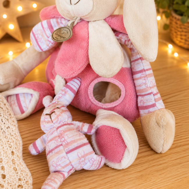 Doudou lapin Doudou et compagnie de profil Doudou lapin Doudou et compagnie avec son petit ami lapin