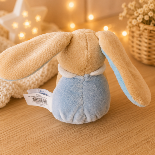 Vue arrière du doudou lapin Baby Nat' Dos du doudou plat lapin Baby Nat' de seconde main