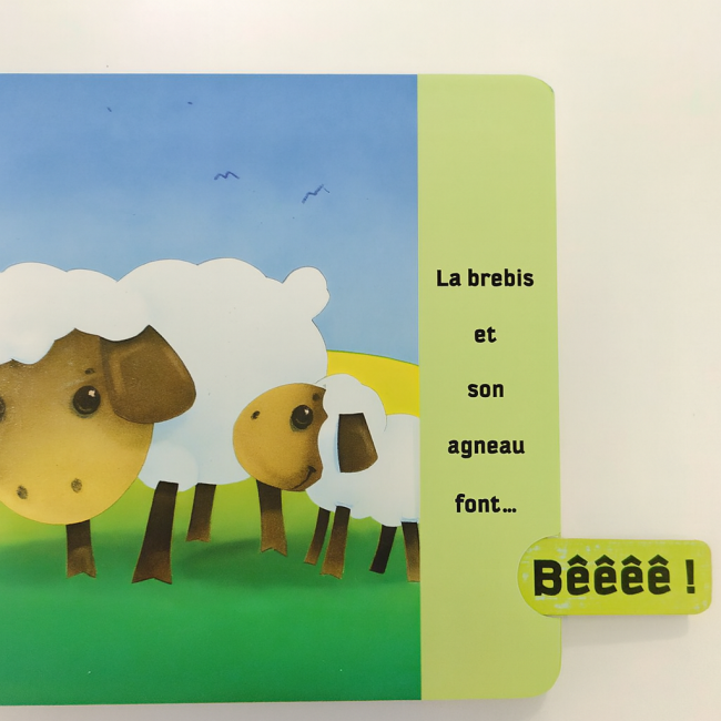 Illustration d’une brebis et son agneau dans un livre pour enfants, sur fond de prairie et ciel bleu