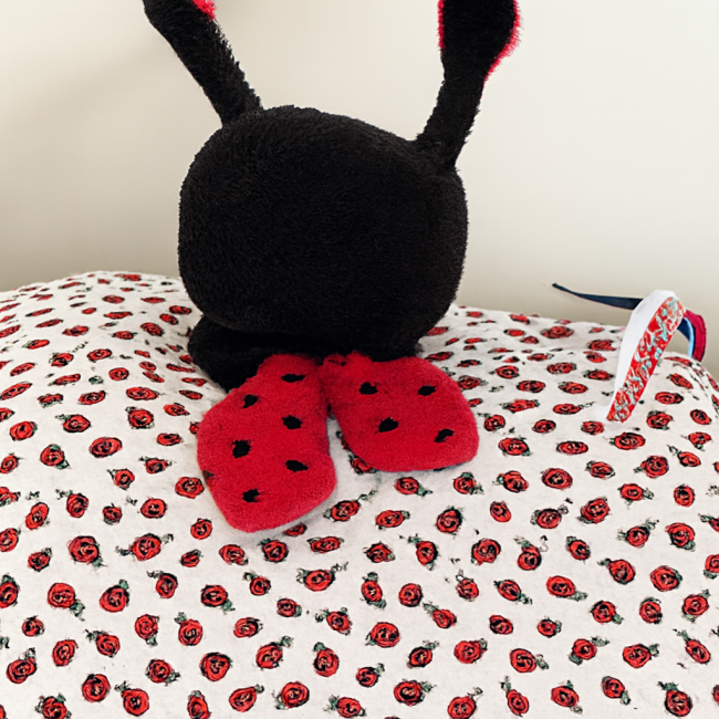 Doudou coccinelle avec tête en peluche, verso rouge doux et rubans sensoriels