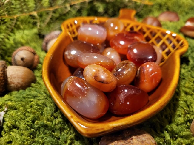 48751288-5802-4788-8765-a5f1877af902