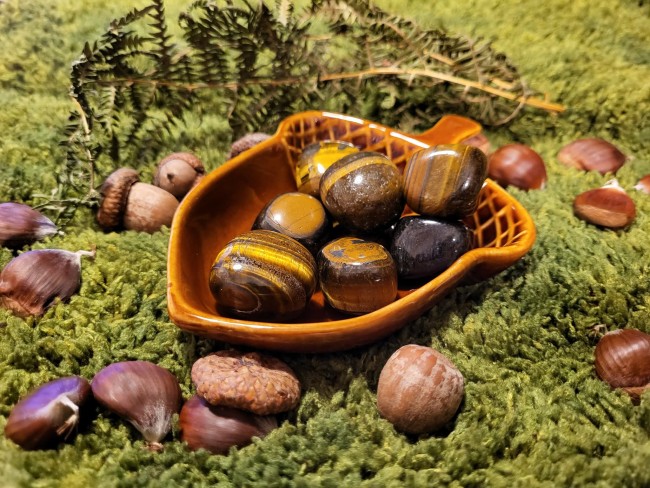 d19e3970-345d-4c16-8abc-e26d8068ad09