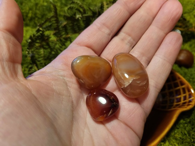 9d21d9e5-f094-4f32-a1e0-d66049ffe23b