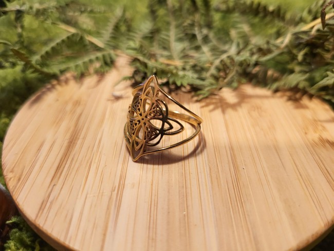 23ed852e-ec78-4086-8f1d-18361f3f66ca