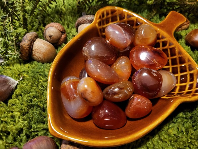 da1e176c-9b32-41a6-986c-67dbcd5d602e