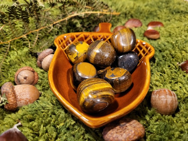 04f71a24-1f40-45d5-bccb-4bcc2fbdf193