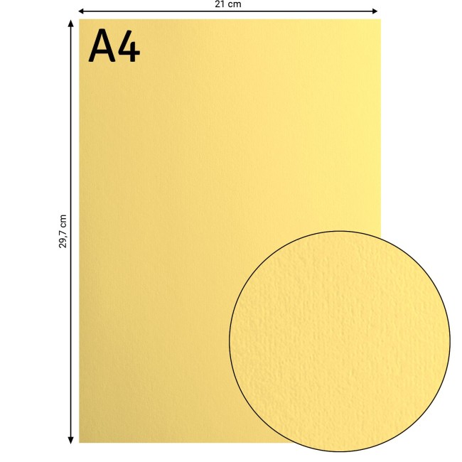 Florence • Cardstock lisse A4 Asparagus 004 — format et surface Cardstock lisse Florence A4 Asparagus 004, format 21 x 29,7 cm et gros plan sur la surface lisse