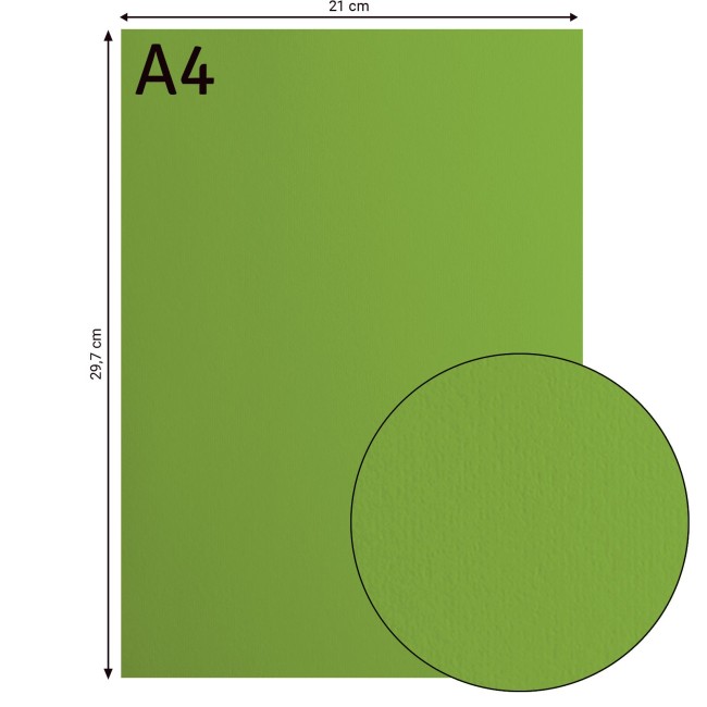 Cardstock lisse Florence A4 Frog 074, format 21 x 29,7 cm et gros plan sur la surface lisse