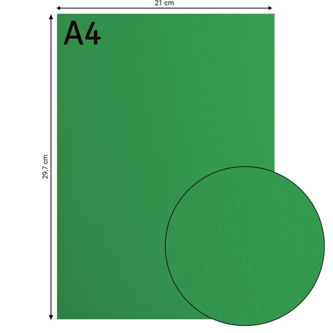 Cardstock lisse Florence A4 Holly 076, format 21 x 29,7 cm et gros plan sur la surface lisse