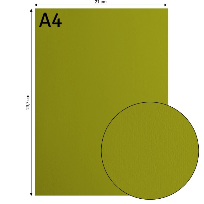 Florence • Cardstock lisse A4 Fern 072 — format et surface Cardstock lisse Florence A4 Fern 072, format 21 x 29,7 cm et gros plan sur la surface lisse
