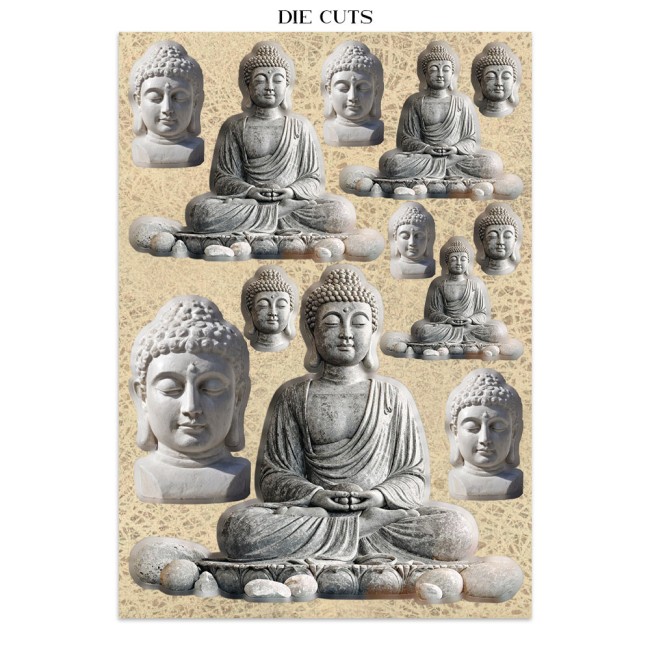 SBJKS05_14