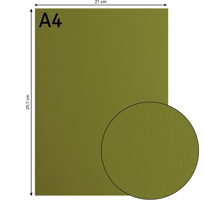 Cardstock lisse Florence A4 Olive 073, format 21 x 29,7 cm et gros plan sur la surface lisse