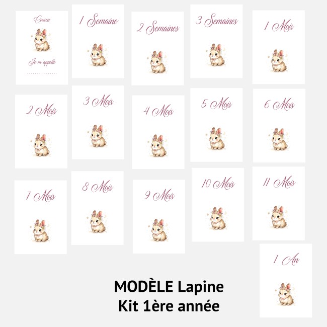 Cartes Etapes bébé - Souvenir photo - 1ère année ou 1ère fois de bébé - Motif Lapin ou Lapine - EP3 Cartes Etapes bébé - Souvenir photo - 1ère année ou 1ère fois de bébé - Motif Lapin ou Lapine - EP3