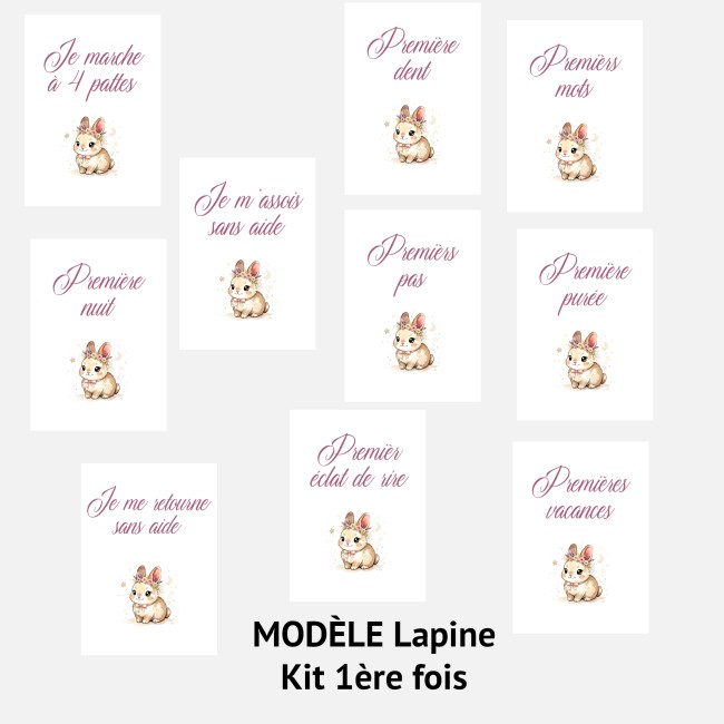 Cartes Etapes bébé - Souvenir photo - 1ère année ou 1ère fois de bébé - Motif Lapin ou Lapine - EP6 Cartes Etapes bébé - Souvenir photo - 1ère année ou 1ère fois de bébé - Motif Lapin ou Lapine - EP6
