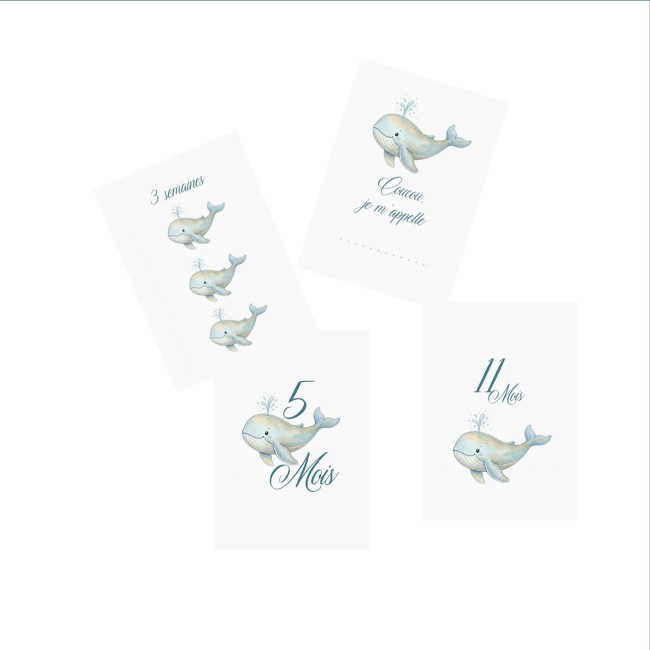 Cartes Etapes bébé - Souvenir photo - 1ère année ou 1ère fois de bébé - Motif Baleine - EPE Cartes Etapes bébé - Souvenir photo - 1ère année ou 1ère fois de bébé - Motif Baleine - EPE