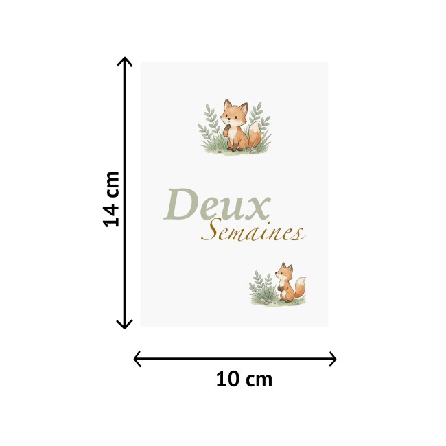 Cartes Etapes bébé - Souvenir photo - 1ère année ou 1ère fois de bébé - Motif petits renards - EP7