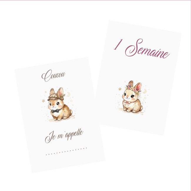 Cartes Etapes bébé - Souvenir photo - 1ère année ou 1ère fois de bébé - Motif Lapin ou Lapine - EP2 Cartes Etapes bébé - Souvenir photo - 1ère année ou 1ère fois de bébé - Motif Lapin ou Lapine - EP2