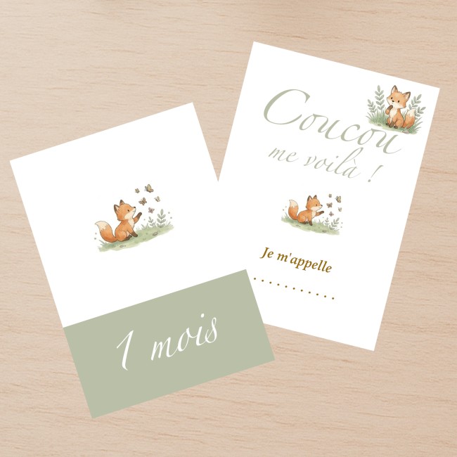 Cartes Etapes bébé - Souvenir photo - 1ère année ou 1ère fois de bébé - Motif petits renards - EP6
