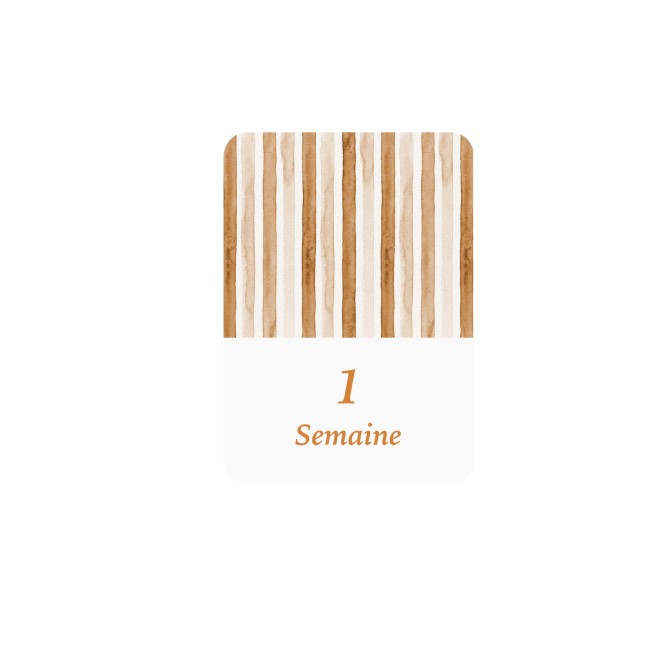 Cartes Etapes bébé - Souvenir photo - 1ère année ou 1ère fois de bébé - Motifs Rayés - EP3