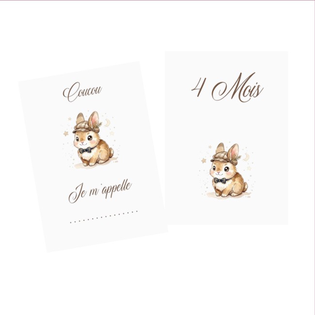 Cartes Etapes bébé - Souvenir photo - 1ère année ou 1ère fois de bébé - Motif Lapin ou Lapine - EP7 Cartes Etapes bébé - Souvenir photo - 1ère année ou 1ère fois de bébé - Motif Lapin ou Lapine - EP7