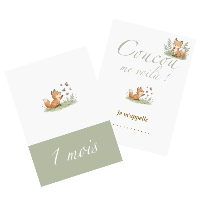 Cartes Etapes bébé - Souvenir photo - 1ère année ou 1ère fois de bébé - Motif petits renards - EP2