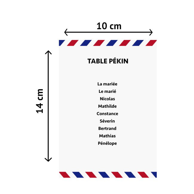 Carte Plan de table personnalisée pour mariage ou anniversaire - Thème Voyage, Destination - Style billet d'avion - EPB