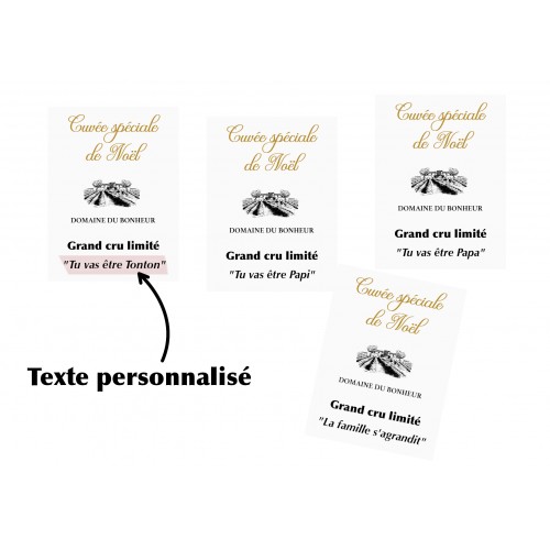 Etiquette autocollante personnalisée pour bouteille - Cadeau de Noël - Annonce grossesse - Annonce mariage Originale - EP2