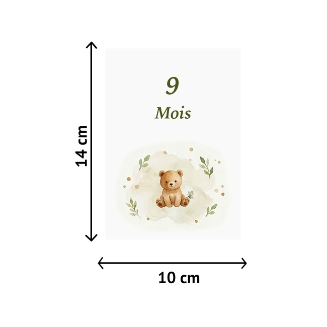 Cartes Etapes bébé - Souvenir photo - 1ère année ou 1ère fois de bébé - Motif Ourson - EP4