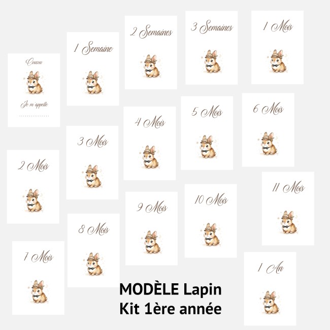 Cartes Etapes bébé - Souvenir photo - 1ère année ou 1ère fois de bébé - Motif Lapin ou Lapine - EP4 Cartes Etapes bébé - Souvenir photo - 1ère année ou 1ère fois de bébé - Motif Lapin ou Lapine - EP4