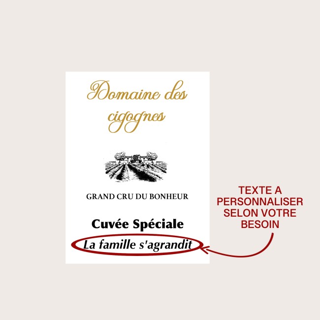 Etiquette autocollante personnalisée pour bouteille - Annonce grossesse ou demande de parrain marraine originale - EP2