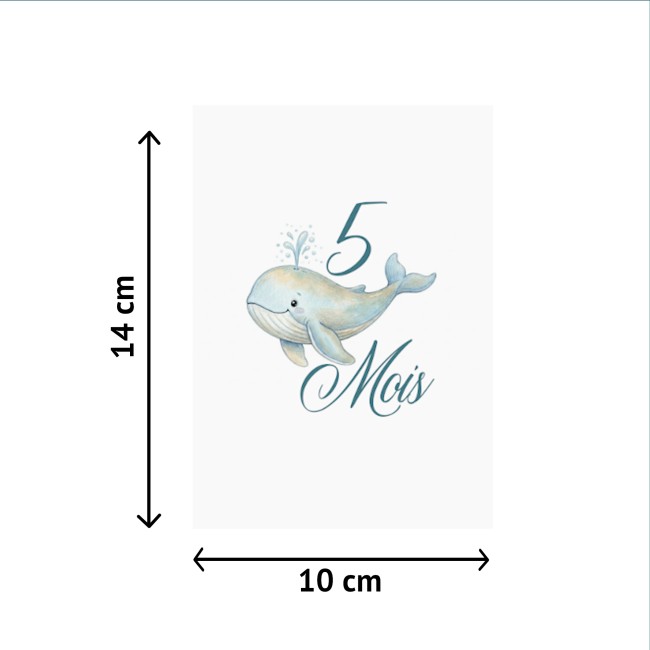 Cartes Etapes bébé - Souvenir photo - 1ère année ou 1ère fois de bébé - Motif Baleine - EPF Cartes Etapes bébé - Souvenir photo - 1ère année ou 1ère fois de bébé - Motif Baleine - EPF